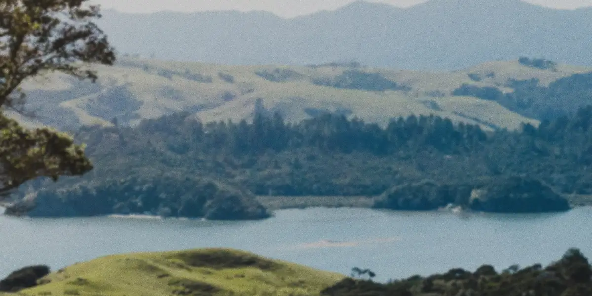 Gateway to the Psalms (SAMPLE)