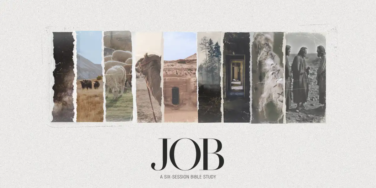 Job (North America)