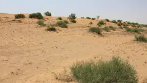 Deuteronomy
